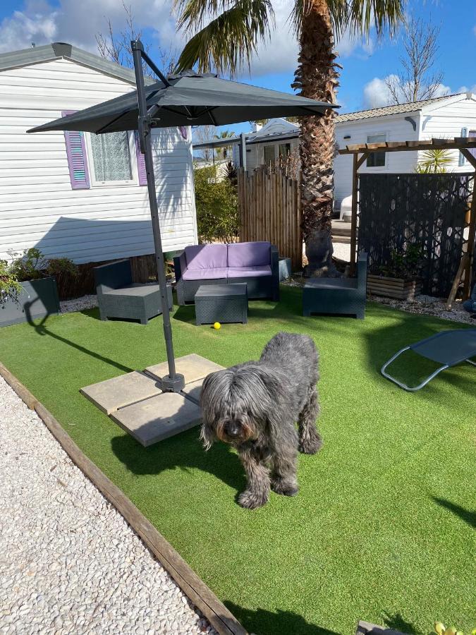 Campsite Mobil 6 Personnes 4* Les Pins Maritimes